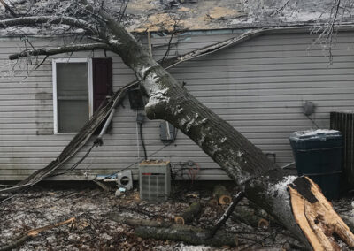 A house with damage from a tree after a storm is receiving fast storm clean-up services from the Lewis Tree Service team.